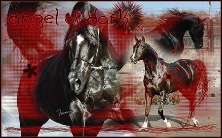 espoir